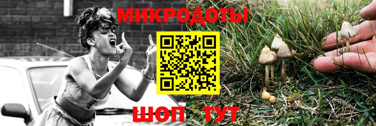 Галлюциногенные грибы Magic Shrooms  Вход с VPN  Советск 