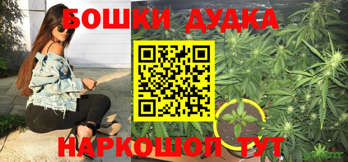 Бошки Шишки сатива Советск